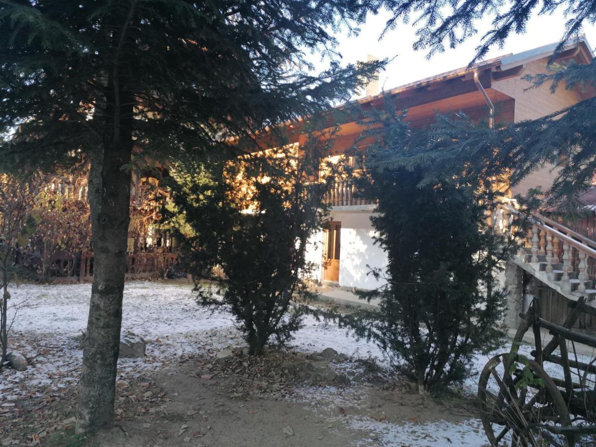 Pensiunea Perla Maramuresului Borsa  Exterior photo