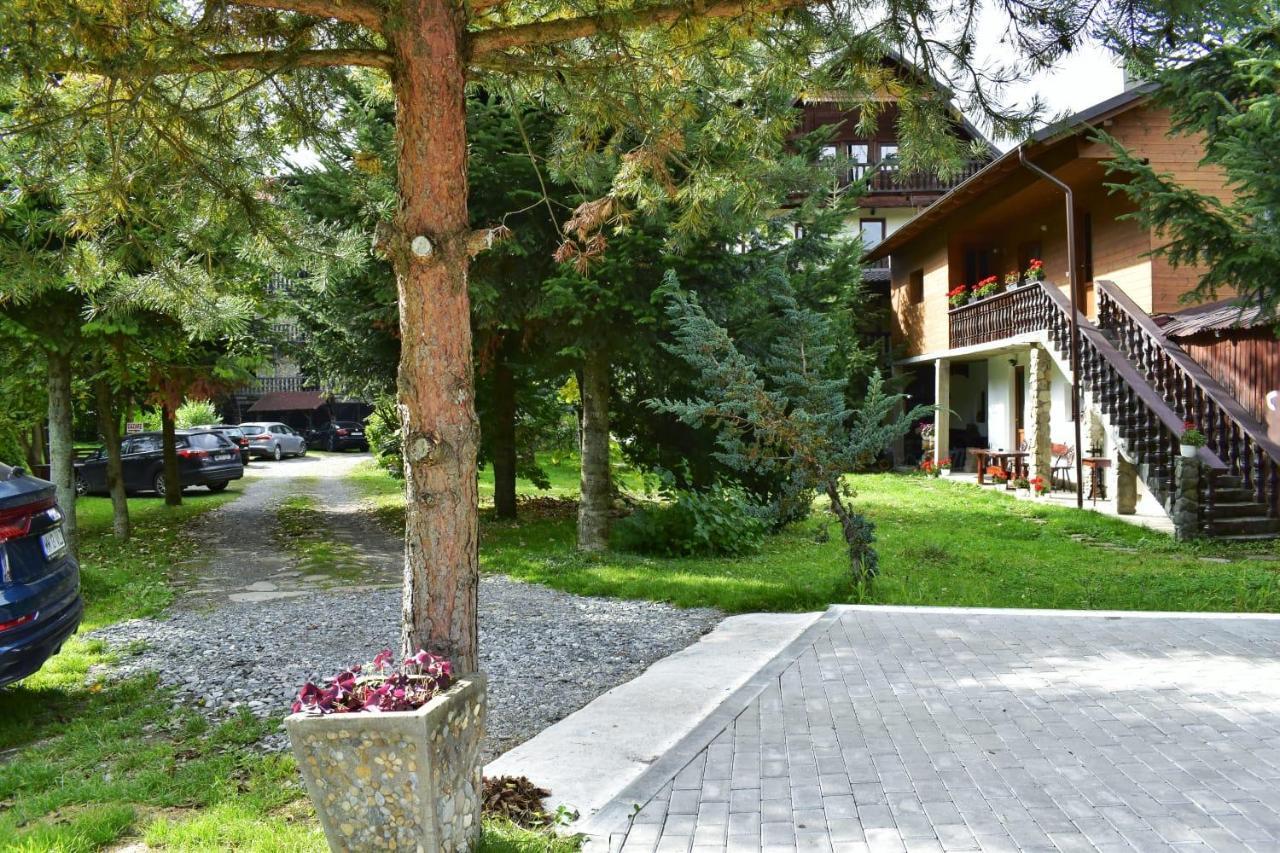 Pensiunea Perla Maramuresului Borsa  Exterior photo